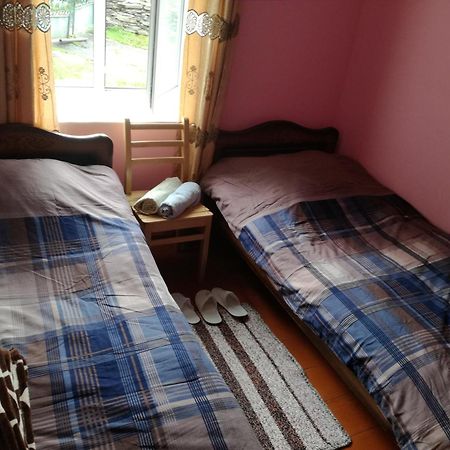 Guesthouse Ailama Ushguli Ngoại thất bức ảnh