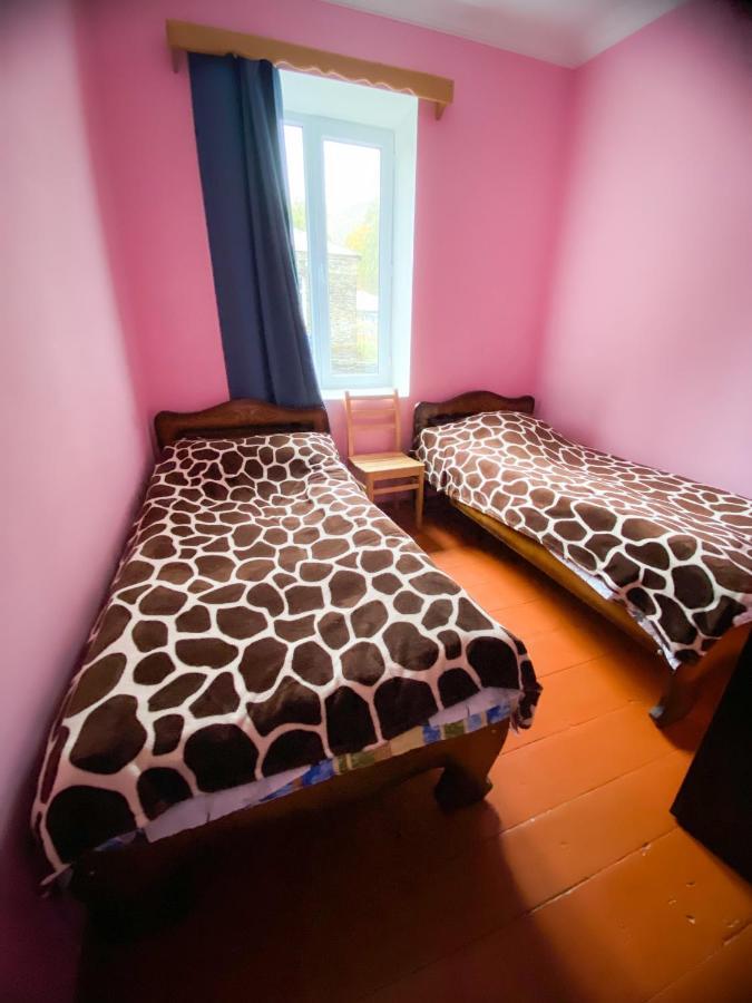 Guesthouse Ailama Ushguli Ngoại thất bức ảnh